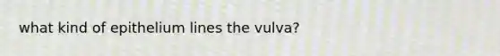 what kind of epithelium lines the vulva?