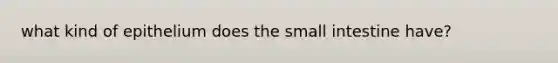 what kind of epithelium does the small intestine have?