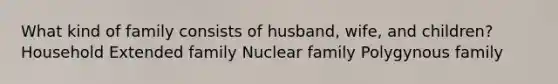 What kind of family consists of husband, wife, and children? Household Extended family Nuclear family Polygynous family