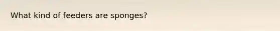 What kind of feeders are sponges?