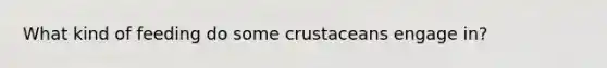 What kind of feeding do some crustaceans engage in?