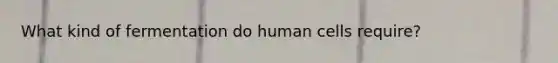 What kind of fermentation do human cells require?