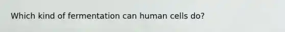 Which kind of fermentation can human cells do?