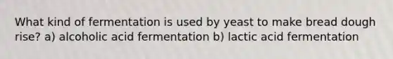 What kind of fermentation is used by yeast to make bread dough rise? a) alcoholic acid fermentation b) lactic acid fermentation