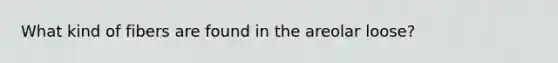 What kind of fibers are found in the areolar loose?