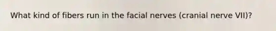 What kind of fibers run in the facial nerves (cranial nerve VII)?