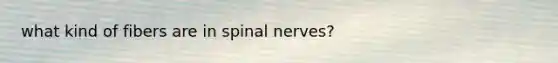 what kind of fibers are in spinal nerves?