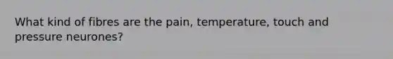 What kind of fibres are the pain, temperature, touch and pressure neurones?