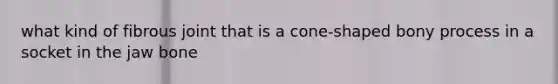 what kind of fibrous joint that is a cone-shaped bony process in a socket in the jaw bone