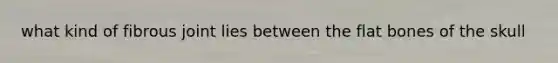 what kind of fibrous joint lies between the flat bones of the skull
