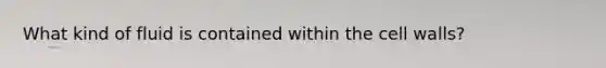 What kind of fluid is contained within the cell walls?