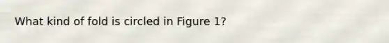 What kind of fold is circled in Figure 1?