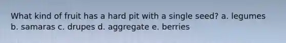 What kind of fruit has a hard pit with a single seed? a. legumes b. samaras c. drupes d. aggregate e. berries