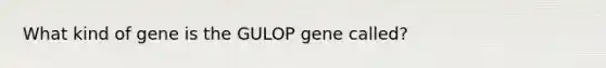 What kind of gene is the GULOP gene called?