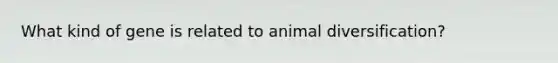 What kind of gene is related to animal diversification?