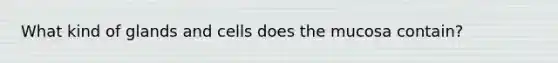 What kind of glands and cells does the mucosa contain?