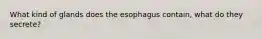 What kind of glands does the esophagus contain, what do they secrete?