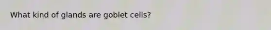 What kind of glands are goblet cells?