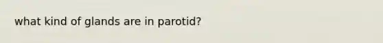 what kind of glands are in parotid?