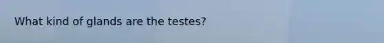 What kind of glands are the testes?