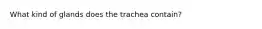 What kind of glands does the trachea contain?