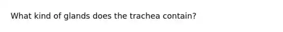 What kind of glands does the trachea contain?