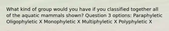 What kind of group would you have if you classified together all of the aquatic mammals shown? Question 3 options: Paraphyletic Oligophyletic X Monophyletic X Multiphyletic X Polyphyletic X