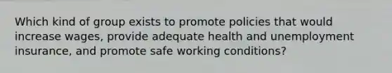 Which kind of group exists to promote policies that would increase wages, provide adequate health and unemployment insurance, and promote safe working conditions?