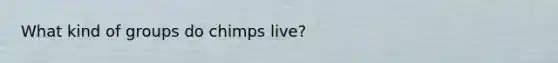 What kind of groups do chimps live?