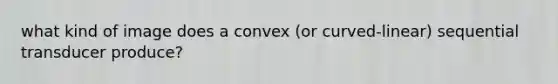 what kind of image does a convex (or curved-linear) sequential transducer produce?