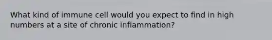 What kind of immune cell would you expect to find in high numbers at a site of chronic inflammation?