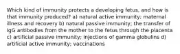 Which kind of immunity protects a developing fetus, and how is that immunity produced? a) natural active immunity; maternal illness and recovery b) natural passive immunity; the transfer of IgG antibodies from the mother to the fetus through the placenta c) artificial passive immunity; injections of gamma globulins d) artificial active immunity; vaccinations