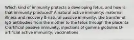 Which kind of immunity protects a developing fetus, and how is that immunity produced? A-natural active immunity; maternal illness and recovery B-natural passive immunity; the transfer of IgG antibodies from the mother to the fetus through the placenta C-artificial passive immunity; injections of gamma globulins D-artificial active immunity; vaccinations