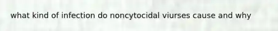 what kind of infection do noncytocidal viurses cause and why