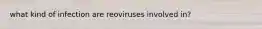 what kind of infection are reoviruses involved in?