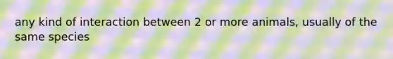 any kind of interaction between 2 or more animals, usually of the same species