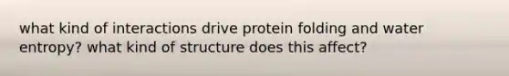 what kind of interactions drive protein folding and water entropy? what kind of structure does this affect?