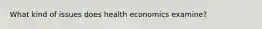 What kind of issues does health economics examine?