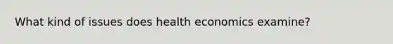 What kind of issues does health economics examine?