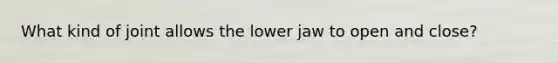 What kind of joint allows the lower jaw to open and close?