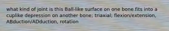 what kind of joint is this Ball-like surface on one bone fits into a cuplike depression on another bone; triaxial; flexion/extension, ABduction/ADduction, rotation