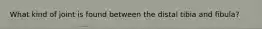 What kind of joint is found between the distal tibia and fibula?
