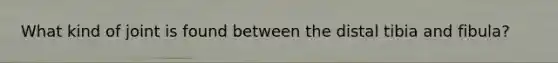 What kind of joint is found between the distal tibia and fibula?