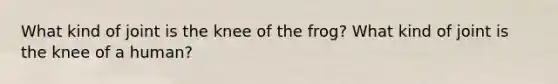 What kind of joint is the knee of the frog? What kind of joint is the knee of a human?