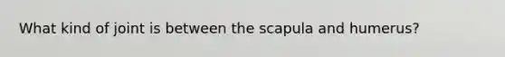 What kind of joint is between the scapula and humerus?