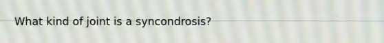 What kind of joint is a syncondrosis?