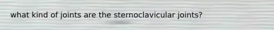 what kind of joints are the sternoclavicular joints?