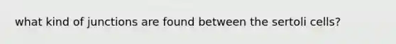 what kind of junctions are found between the sertoli cells?