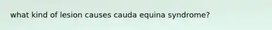 what kind of lesion causes cauda equina syndrome?