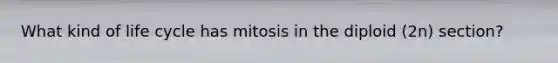 What kind of life cycle has mitosis in the diploid (2n) section?